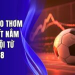 Dự đoán kèo thơm