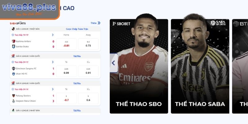 K-sports Viva88 - Nhà Phát Hành Thể Thao Chuyên Nghiệp 1 Tổng quan nhà cung cấp K-sports Viva88