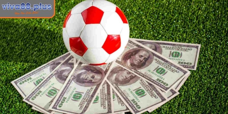 Kèo Châu Á Là Gì? Viva88 Hướng Dẫn Chi Tiết Cho Người Chơi 2 Loại hình chấp 1 trái (1.0)